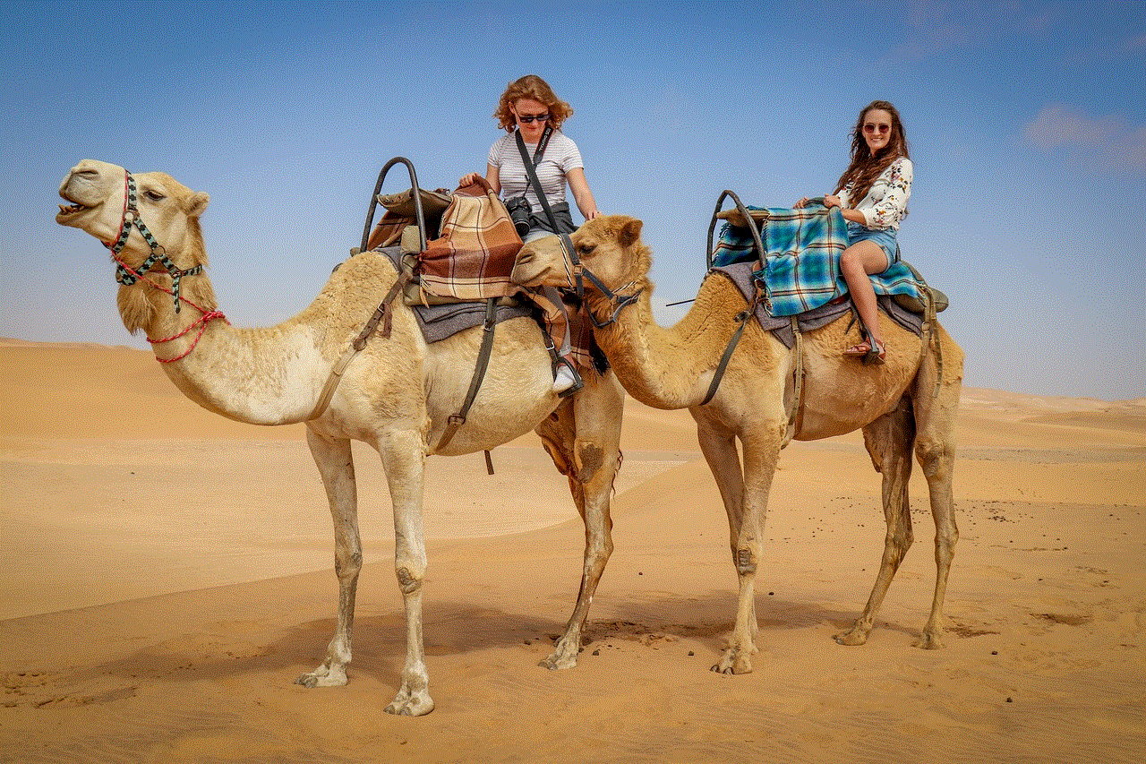 Camel Desert