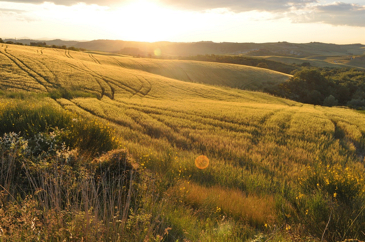 Field Summer