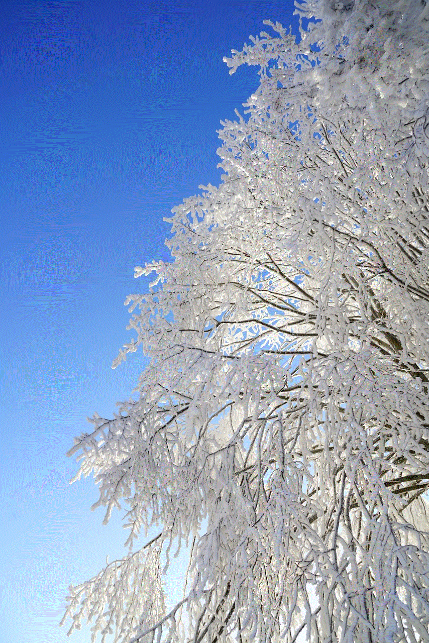 Tree Hoarfrost