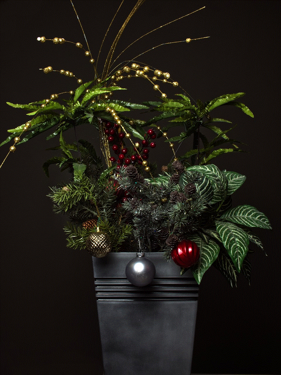 Christmas Flowers