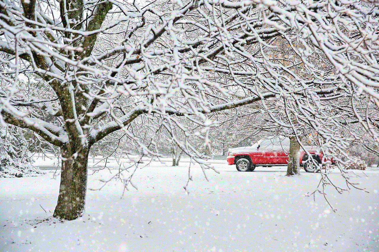 Truck Snow