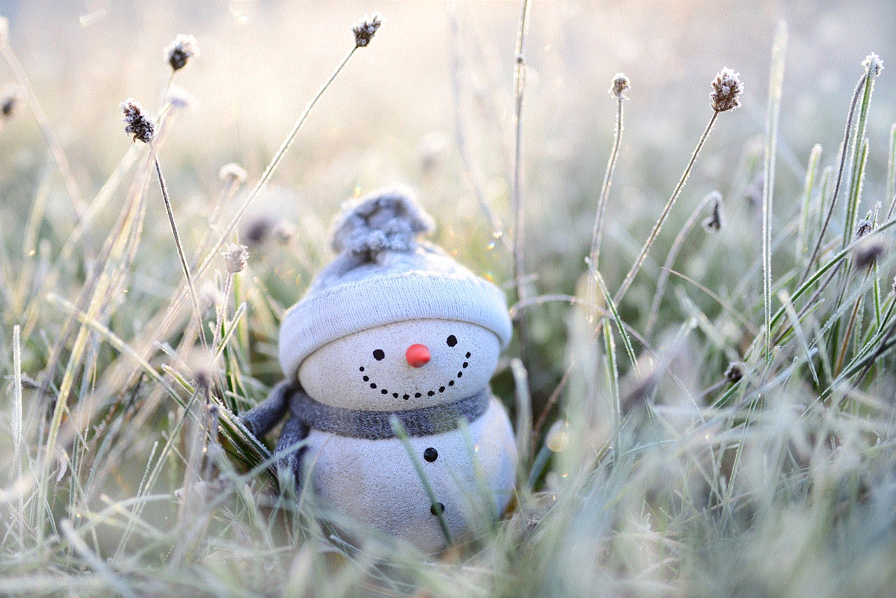 Snowman Winter