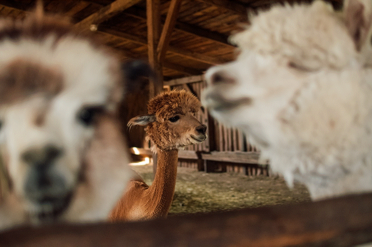 Alpaca Agritourism