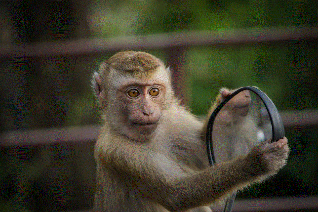 Monkey Mirror