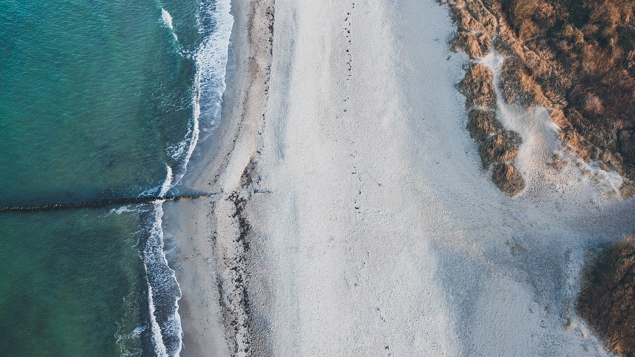Beach Drone Image