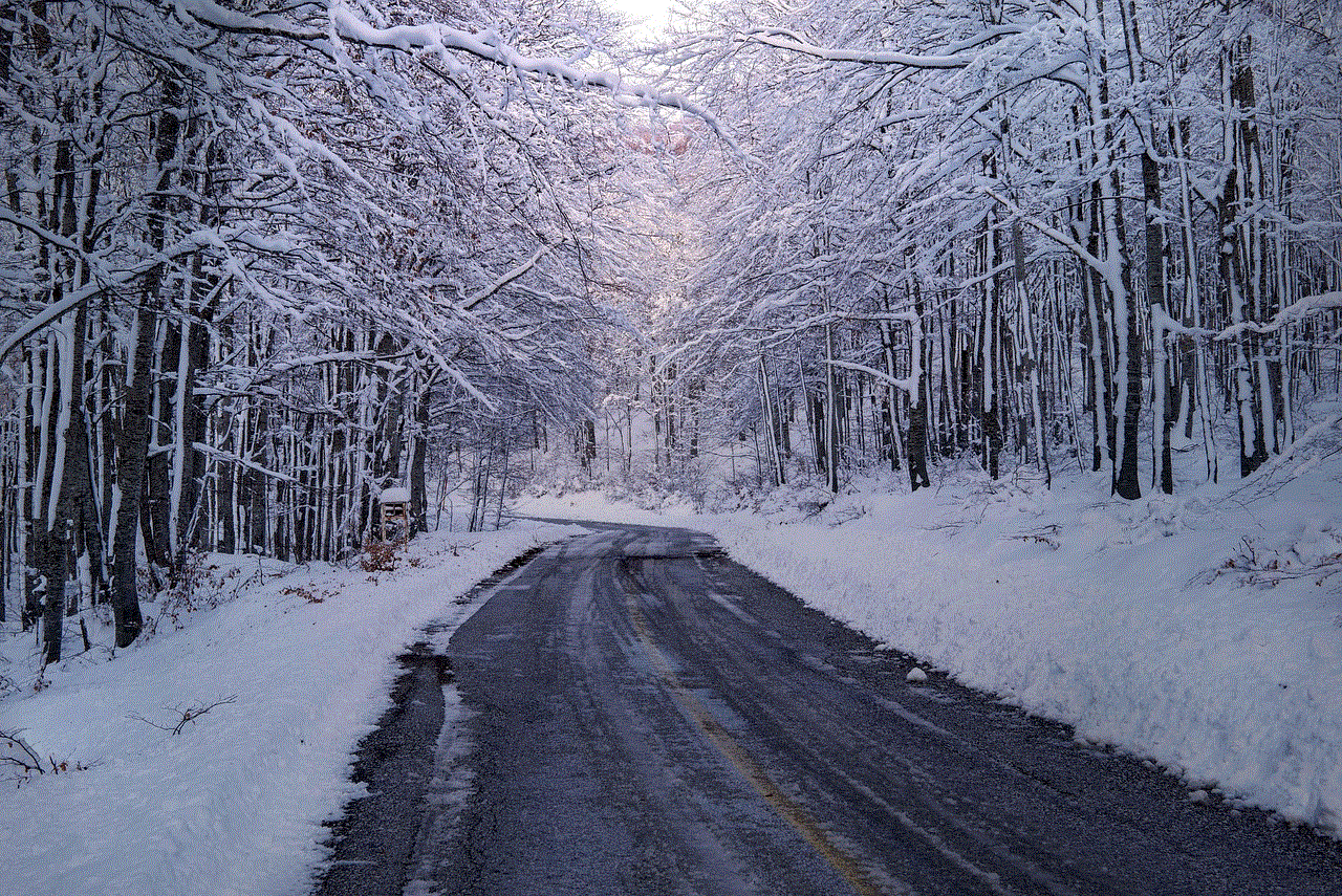 Trees Forest