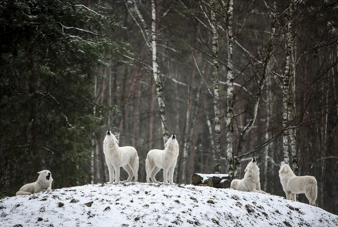 Animals Wolves