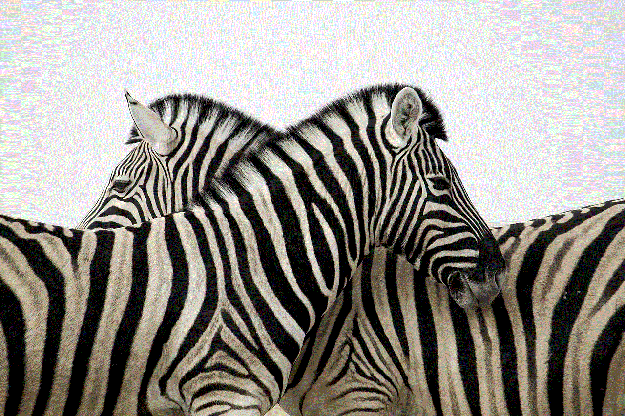 Zebra Stripes