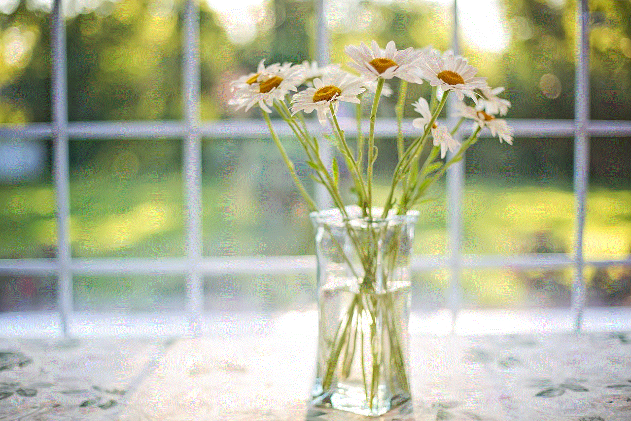 Daisies Vase
