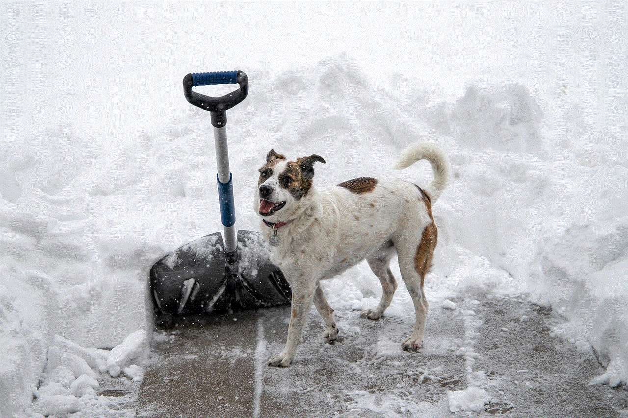 Snow Shovel Dog