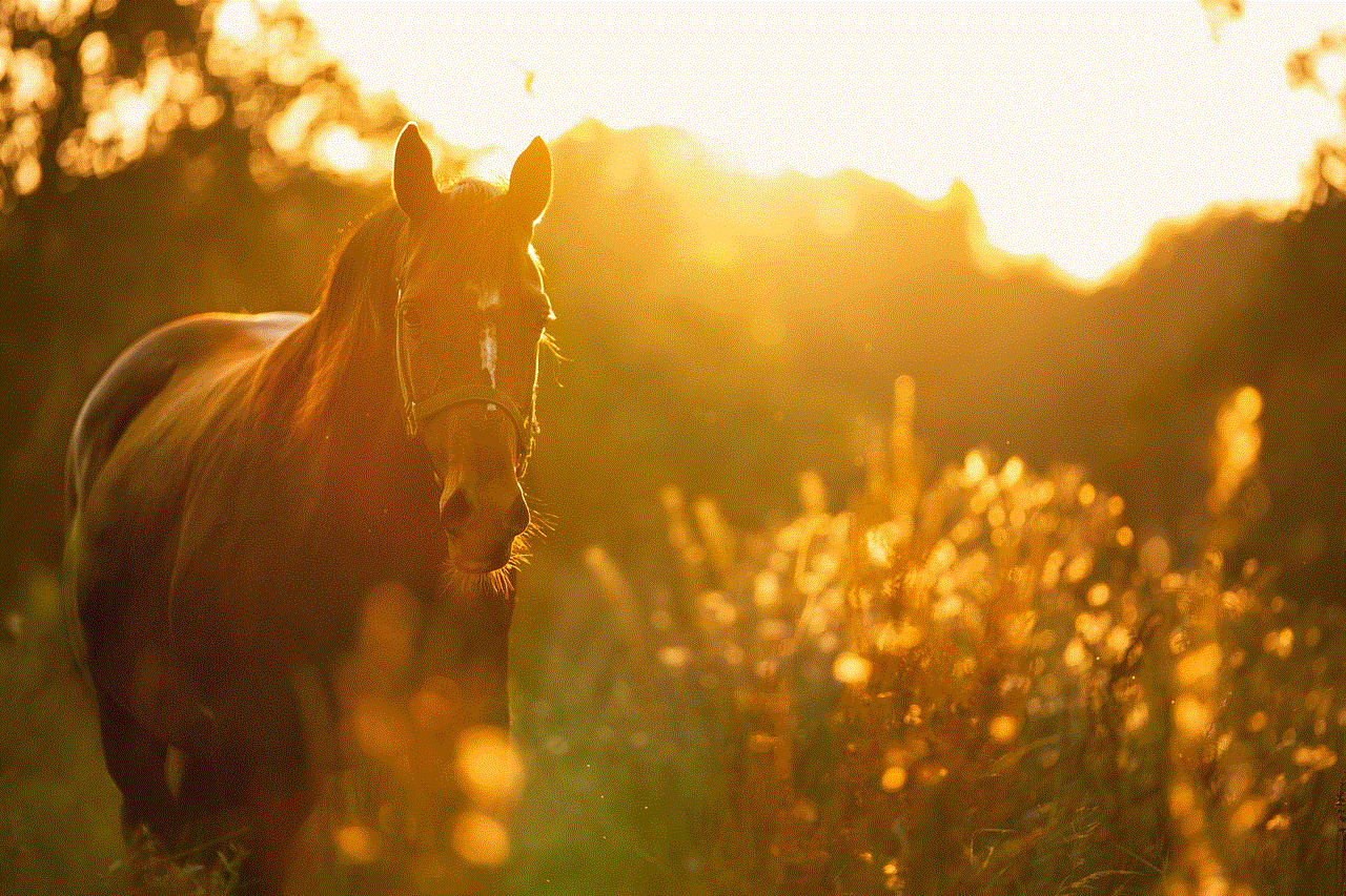 Horse Light Horse Light