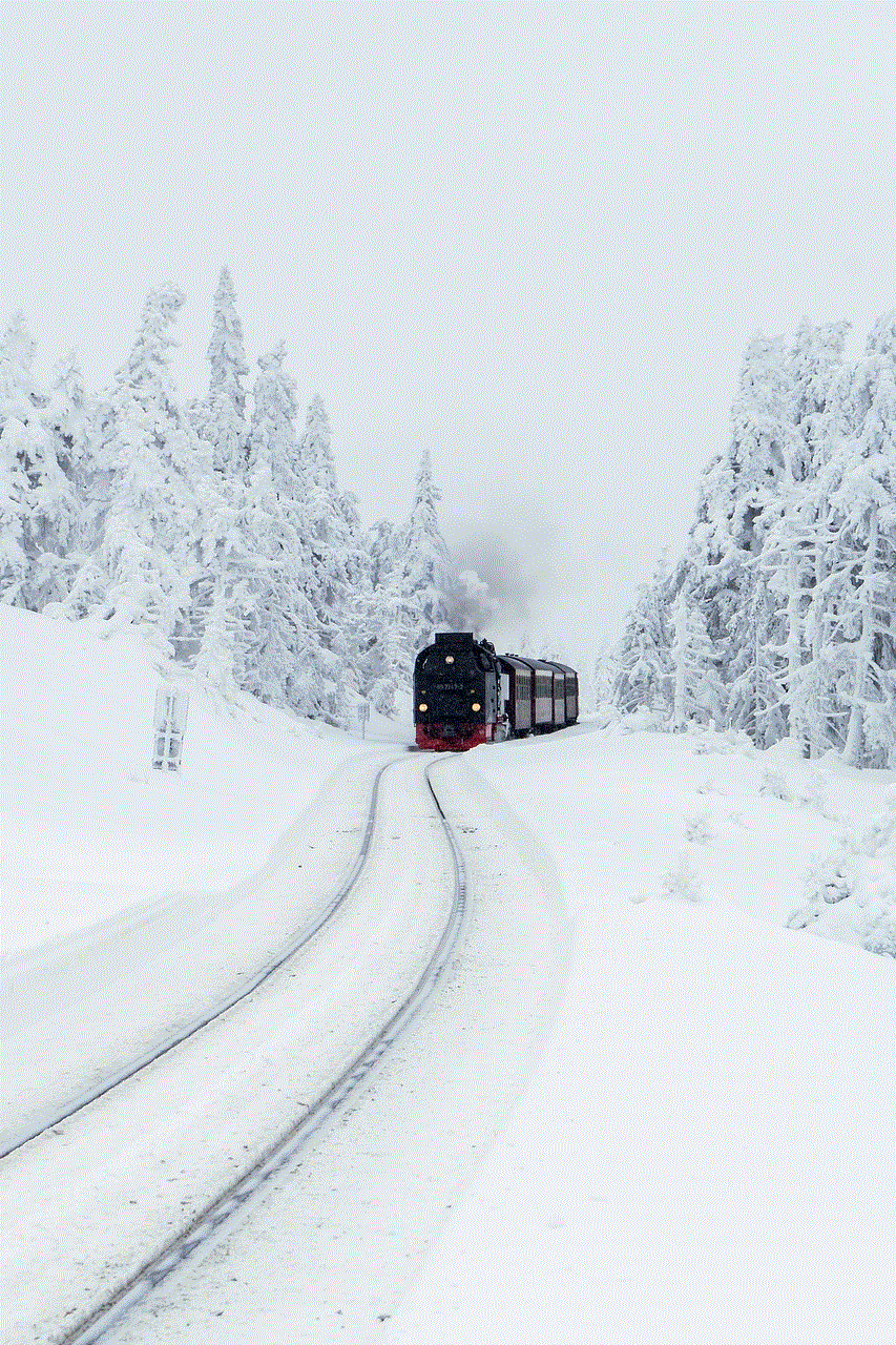 Winter Train