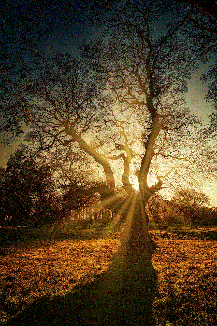 Tree Forest