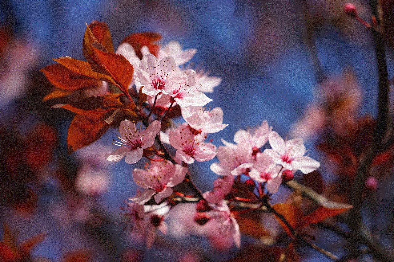 Cherry Blossom Pink