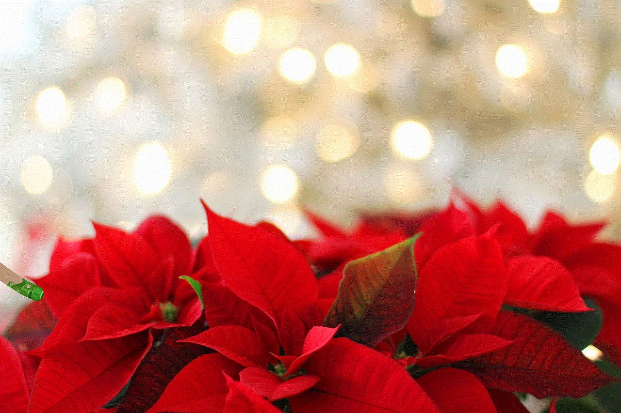 Poinsettia Christmas