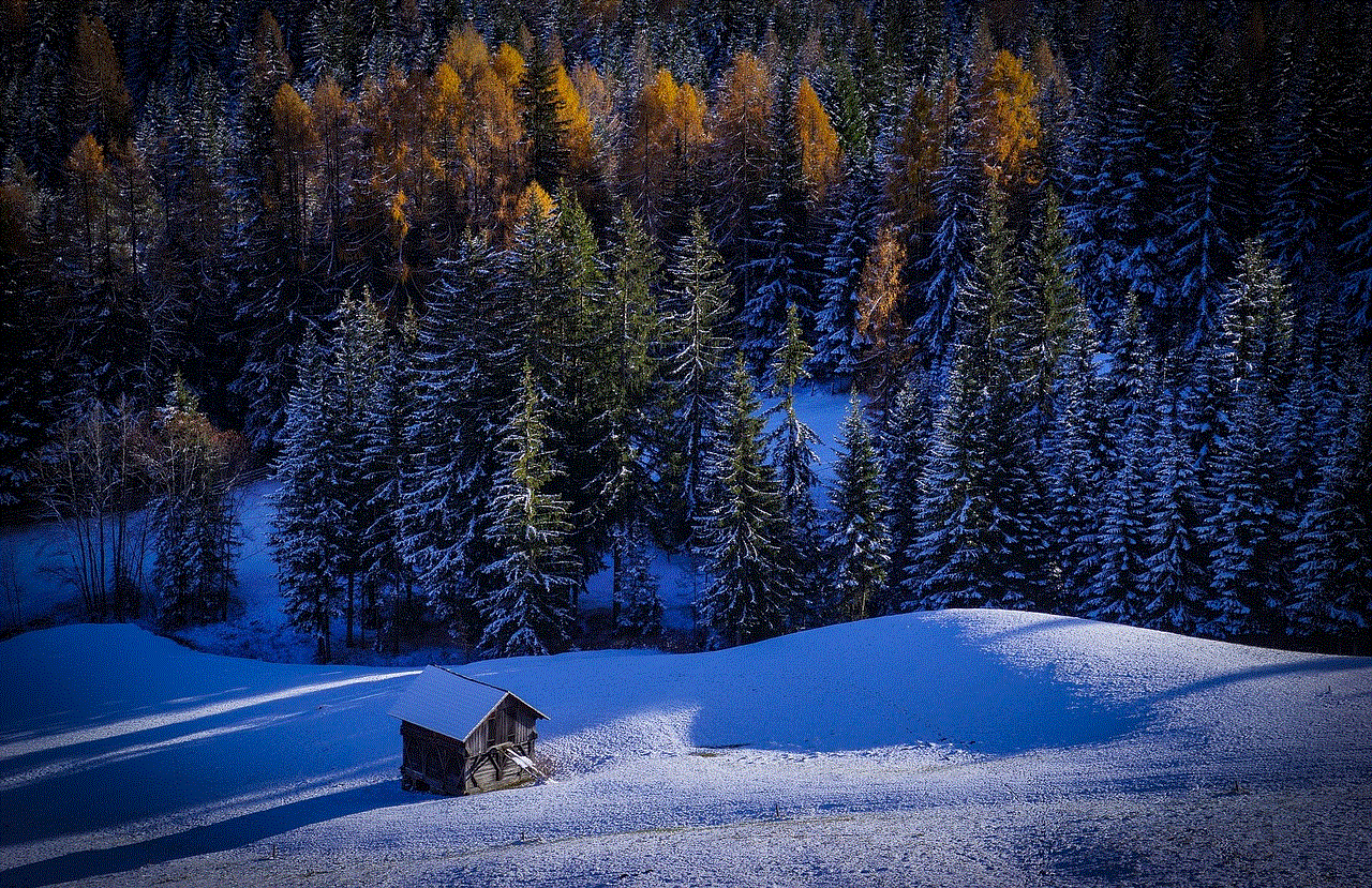 Forest Snow