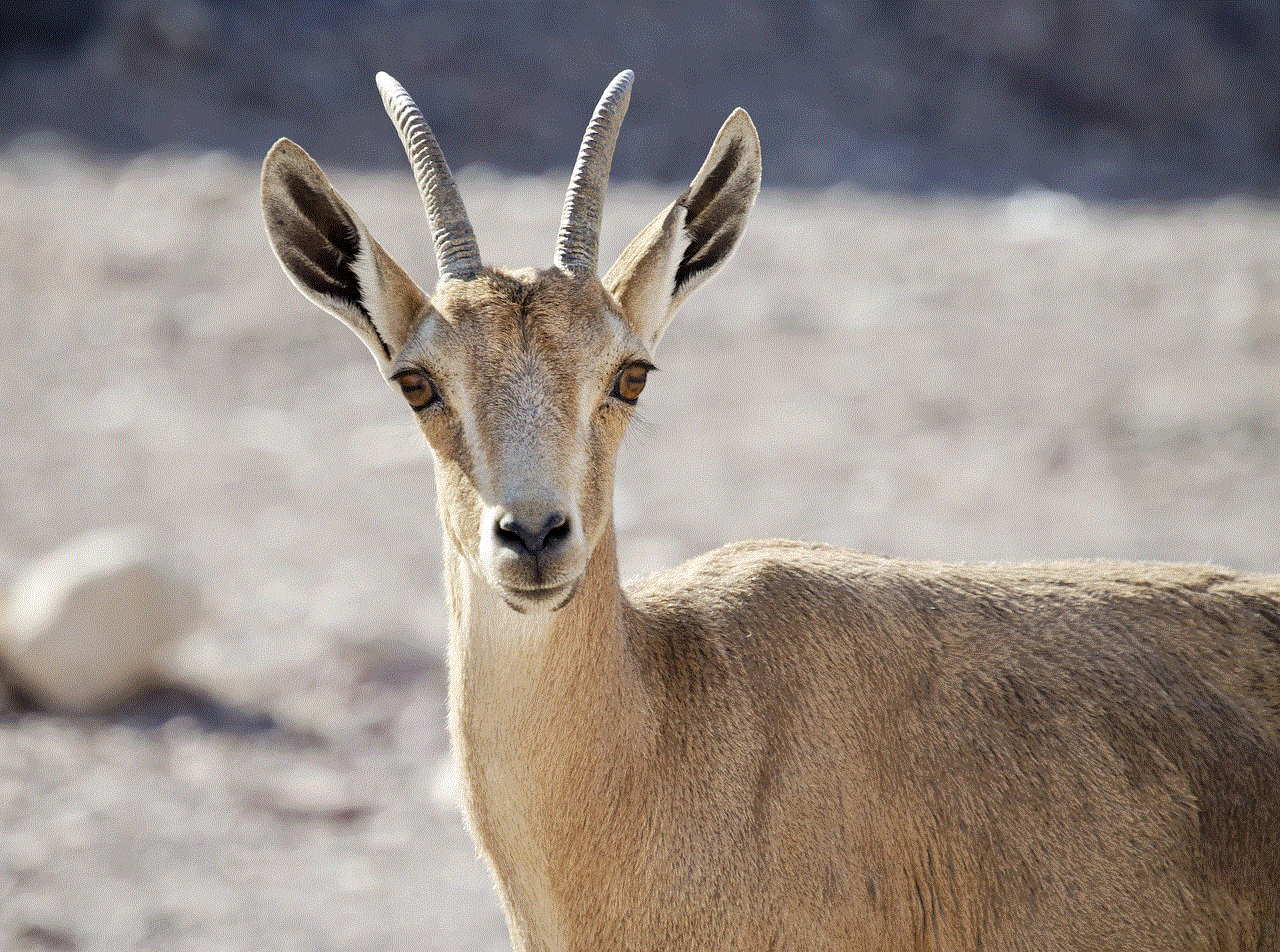 Nubian Ibex Nature