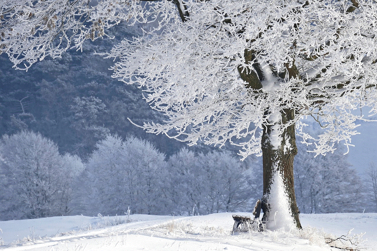 Winter Tree