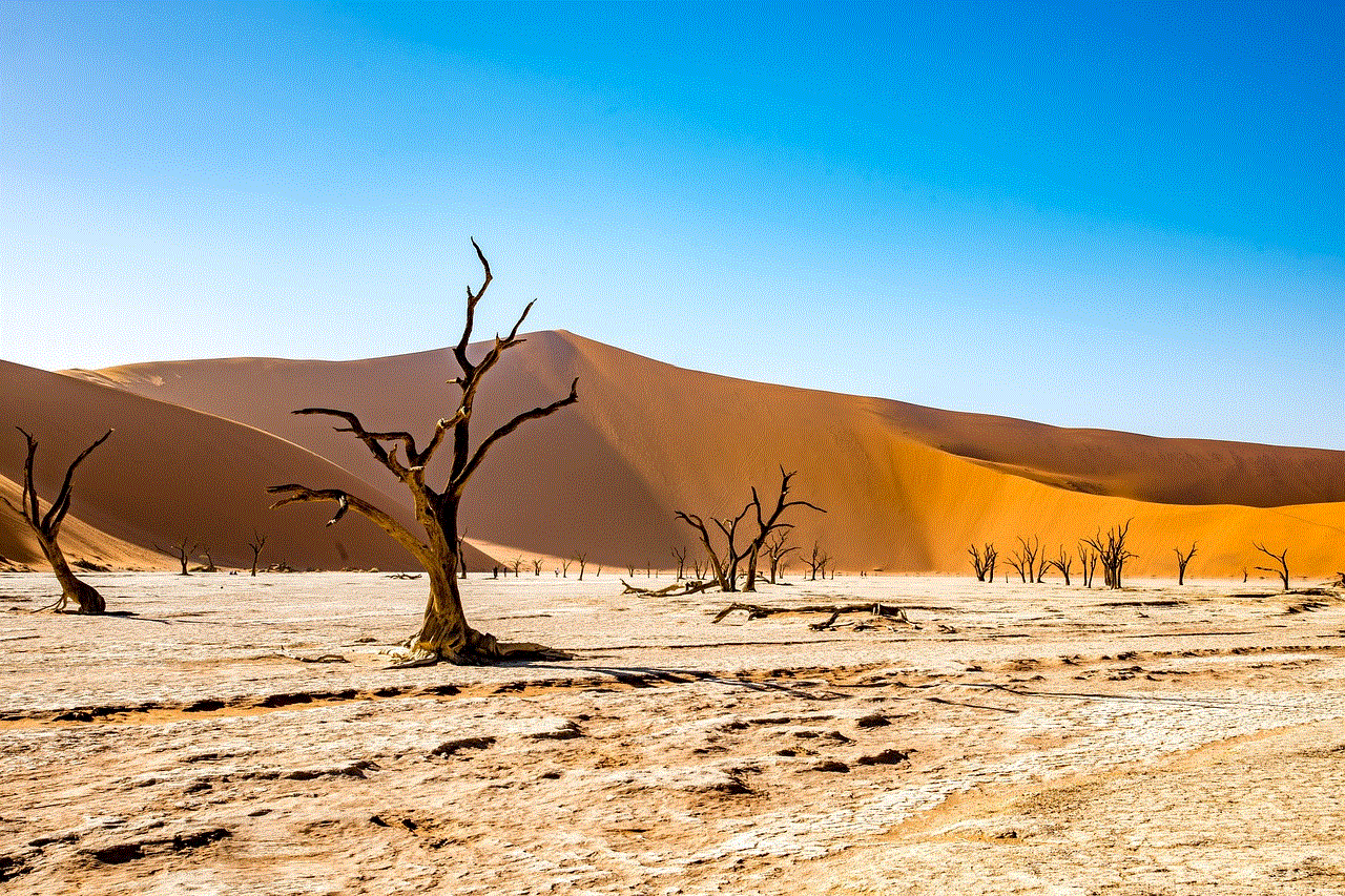 Namibia Deadvlei