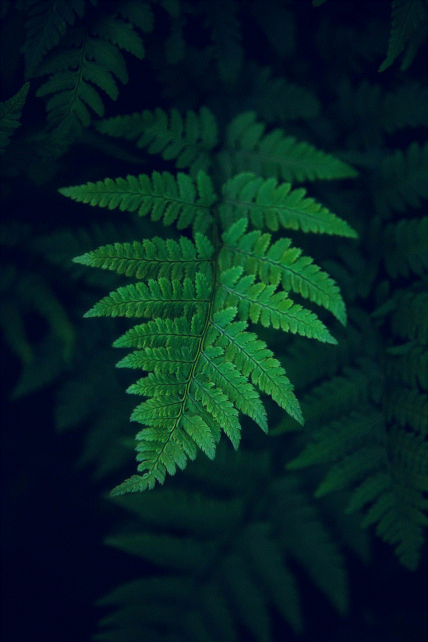 Leaf Nature