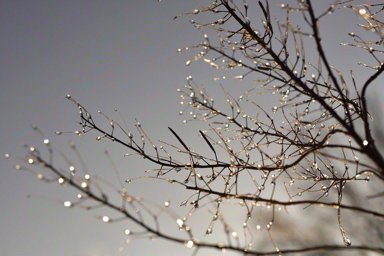 Waterdrop Frost Waterdrop Frost
