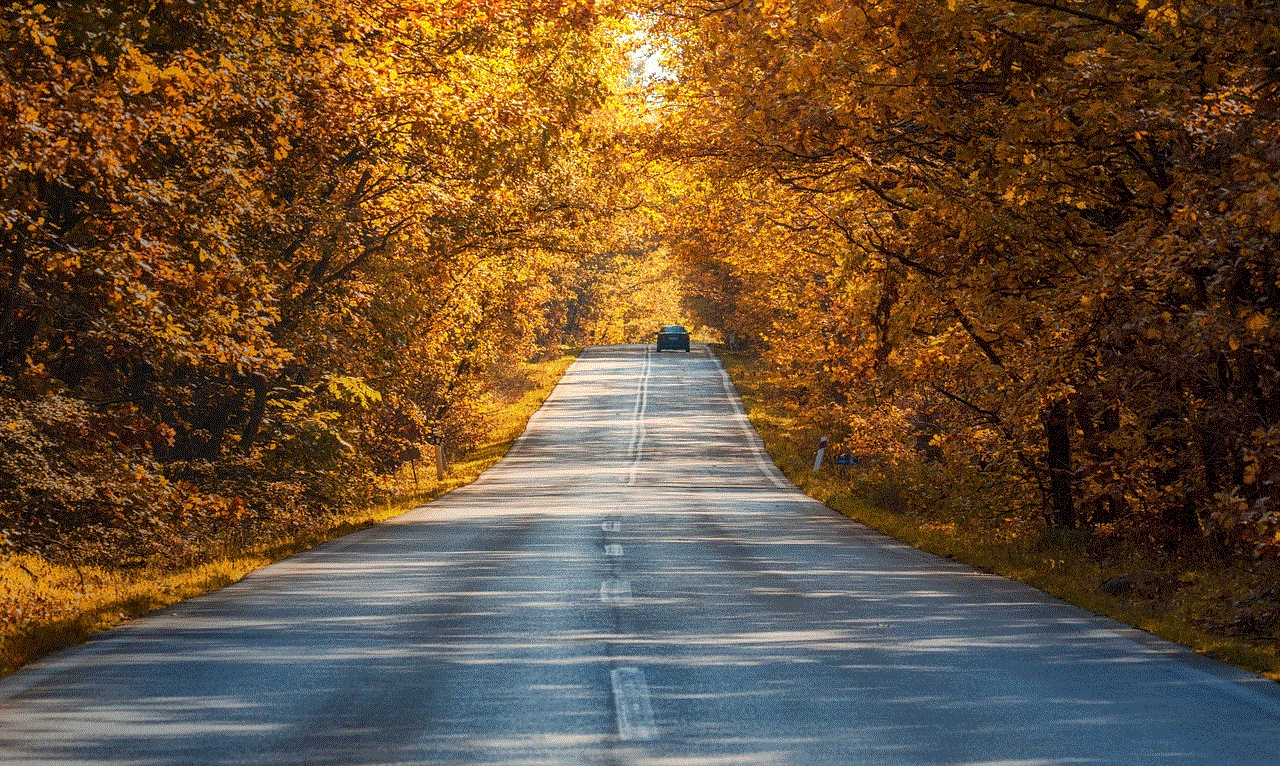 Road Autumn