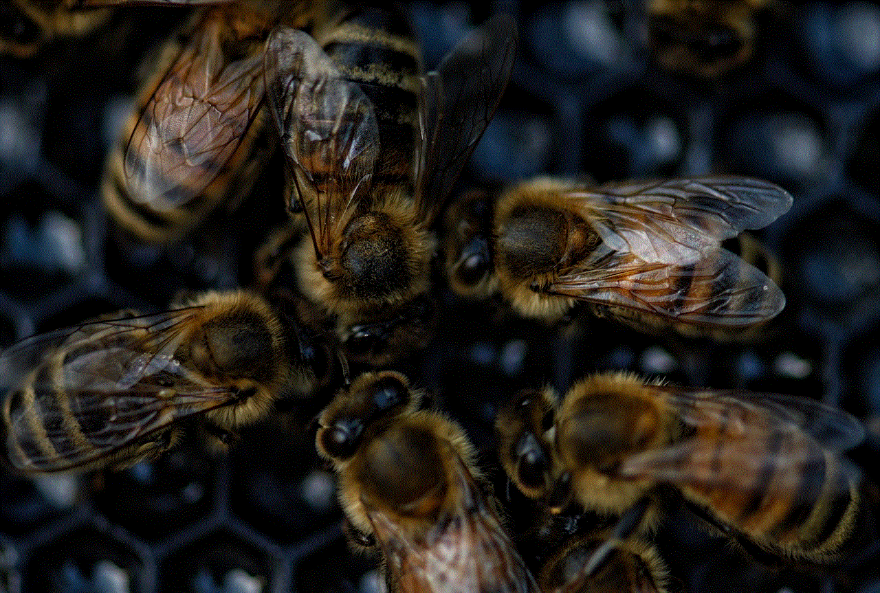 Bees Swarm
