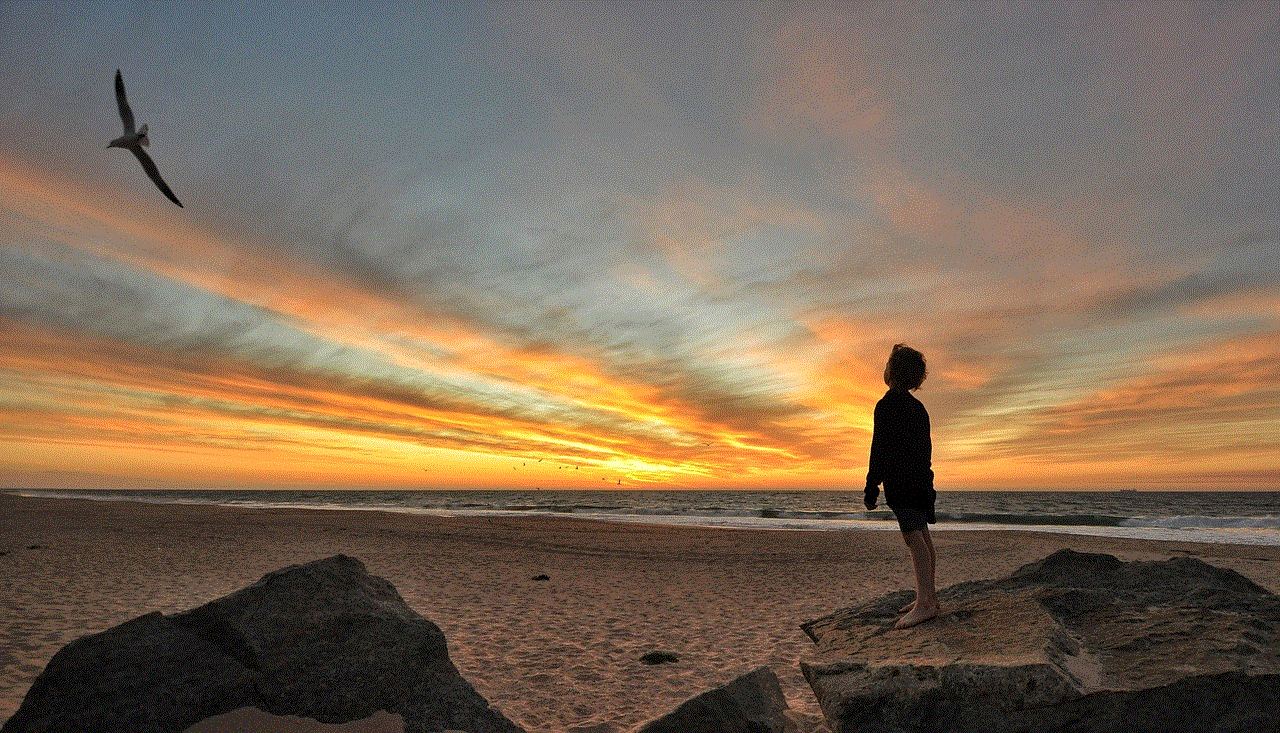 Boy Sunset Boy Sunset