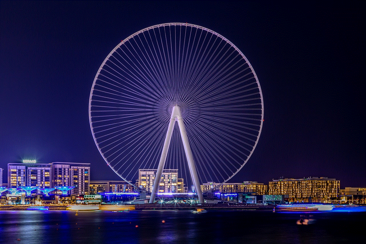 Ferris Wheel Landscape