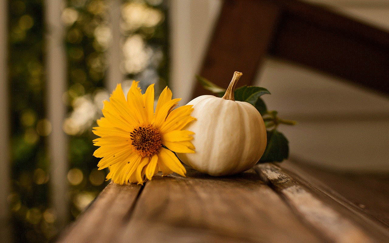 Thanksgiving Pumpkin