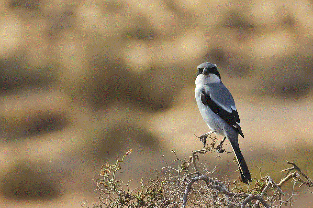 Bird Perched