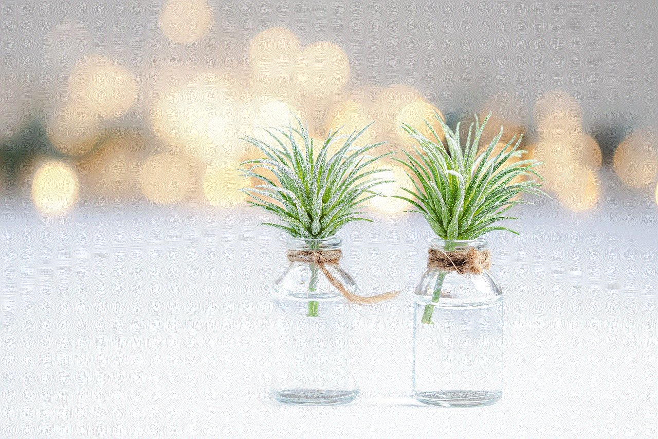 Plants Bokeh