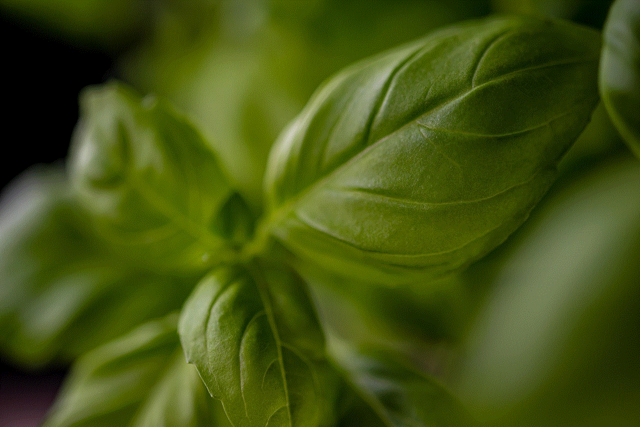 Herb Leaves
