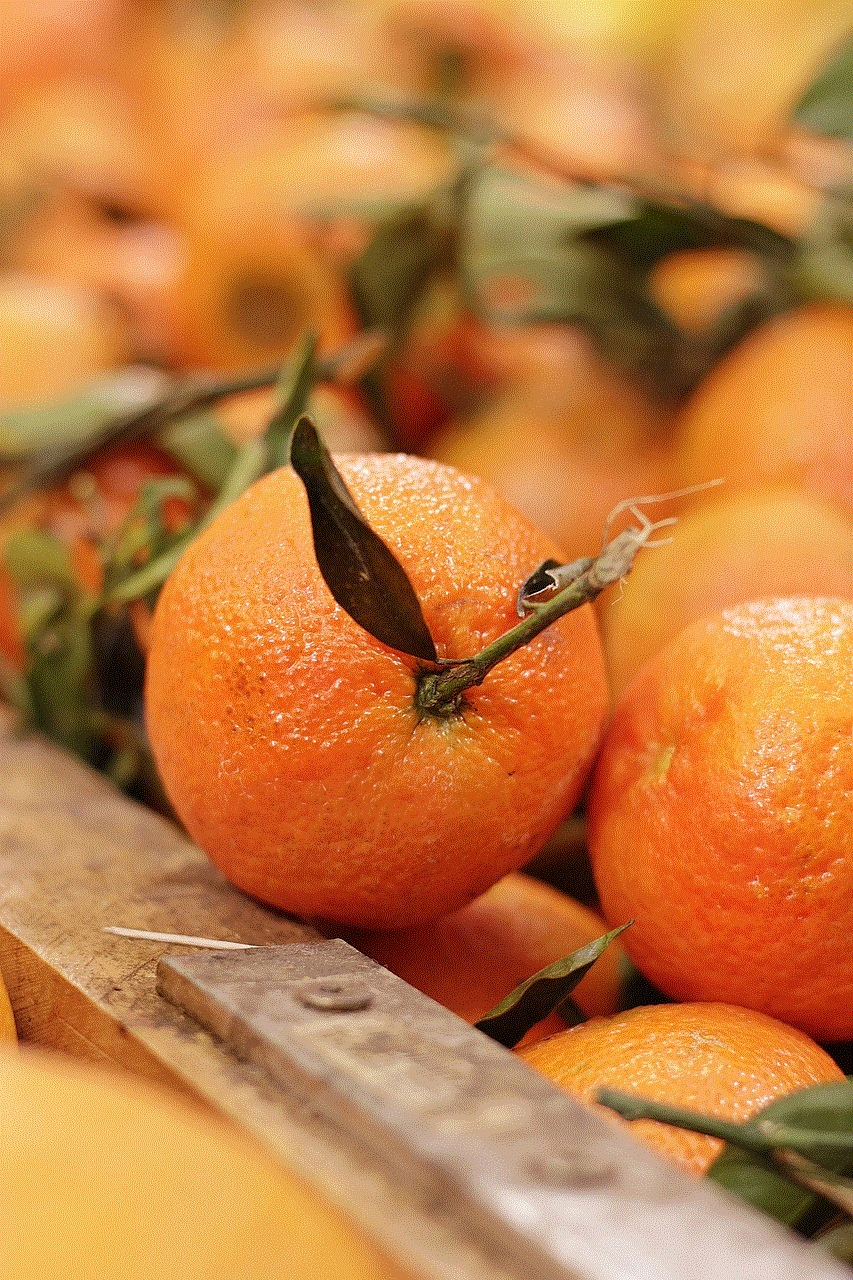 Fruit Orange
