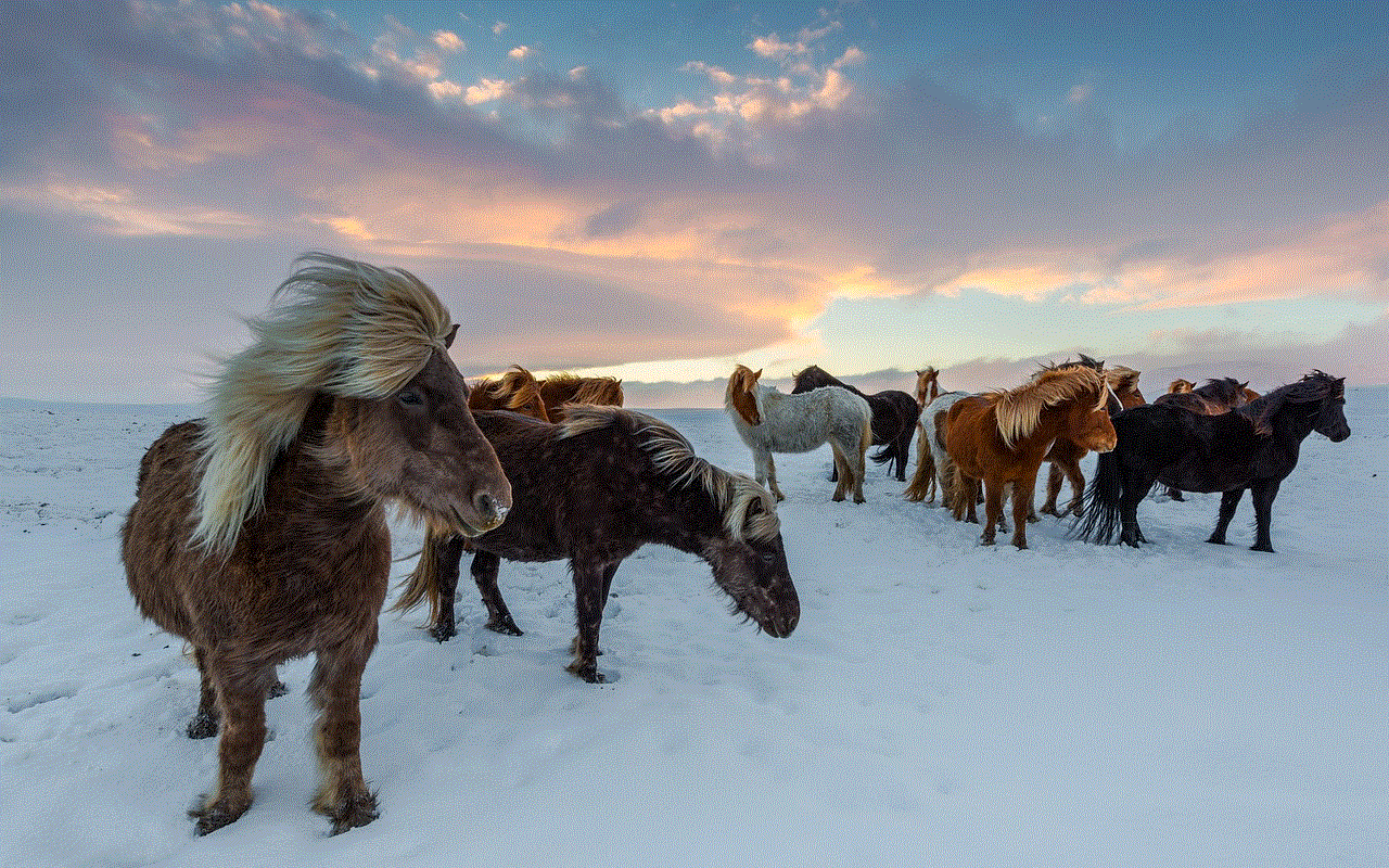 Animals Icelandic Horses