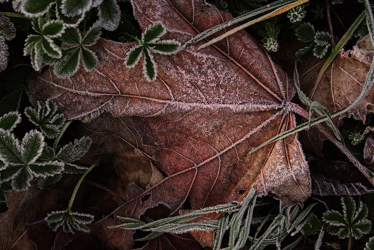 Leaves Hoarfrost