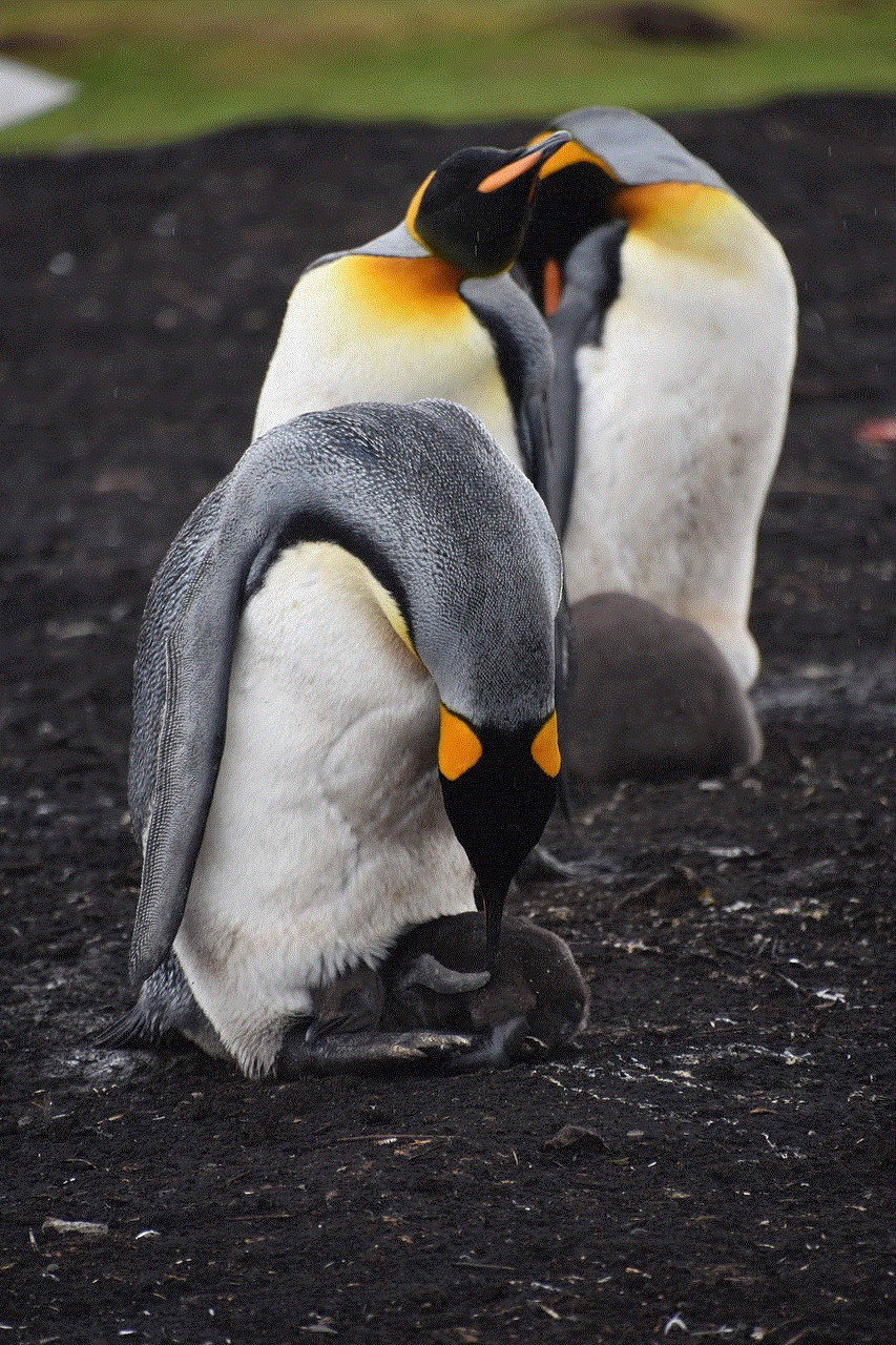 Port Stanley Falkland Islands