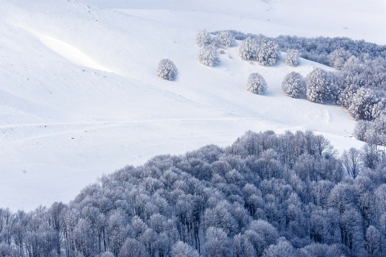 Snow Trees