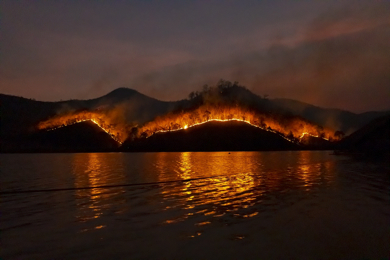 Wildfire Bushfire
