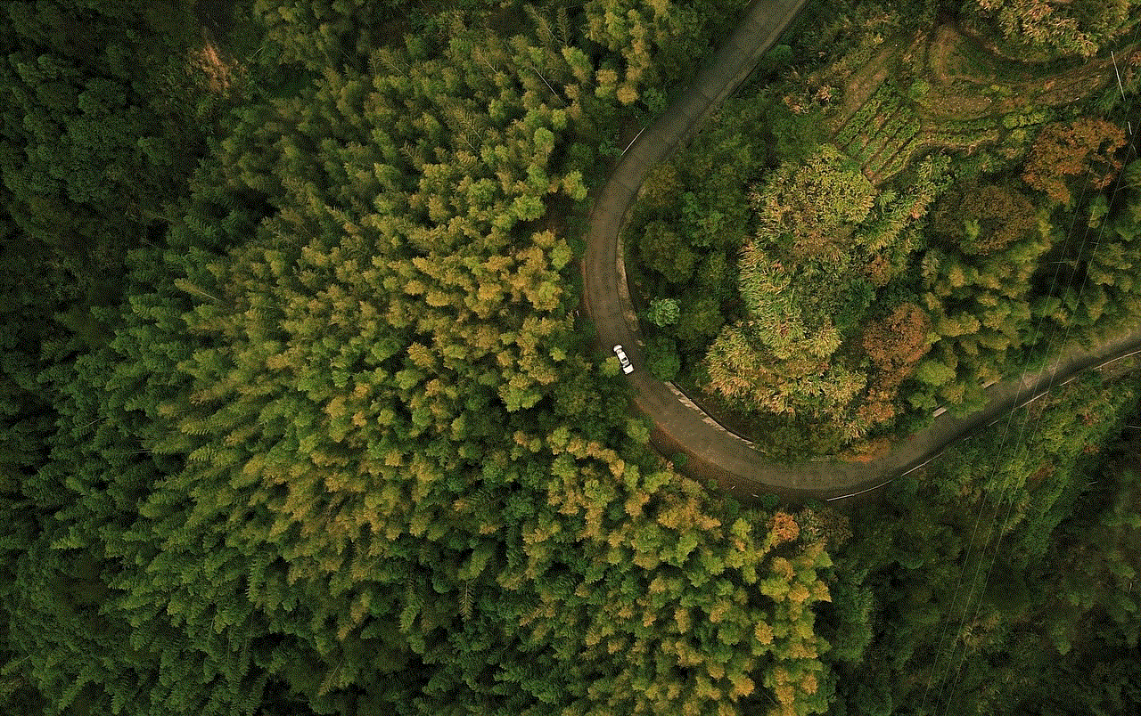 Drone Forest