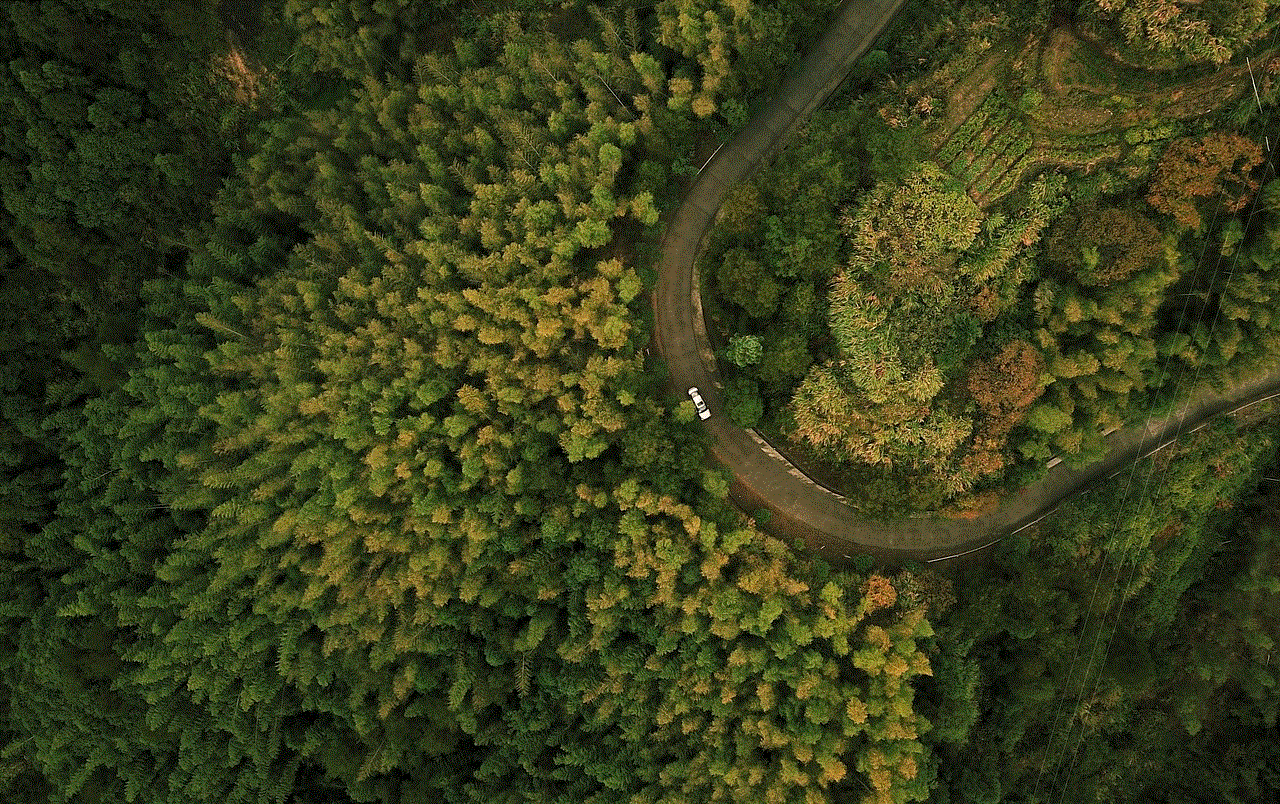 Drone Forest Drone Forest