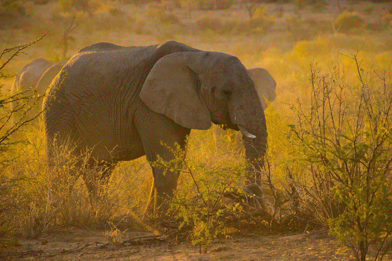 Namibia Sunset