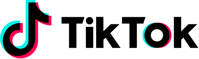 TikTok Security Investigation