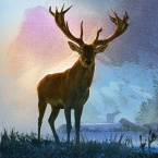 Deer Hunter 2020